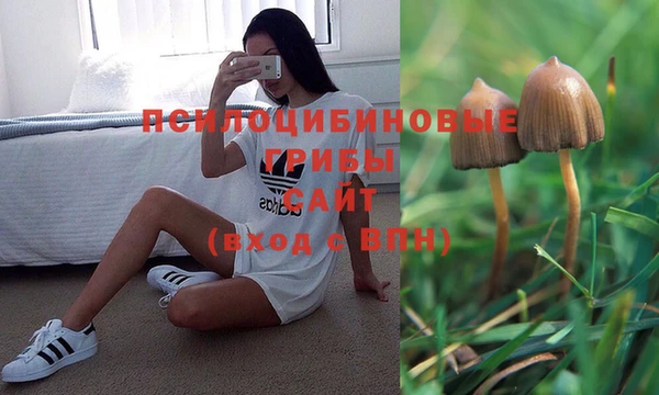 винт Баксан