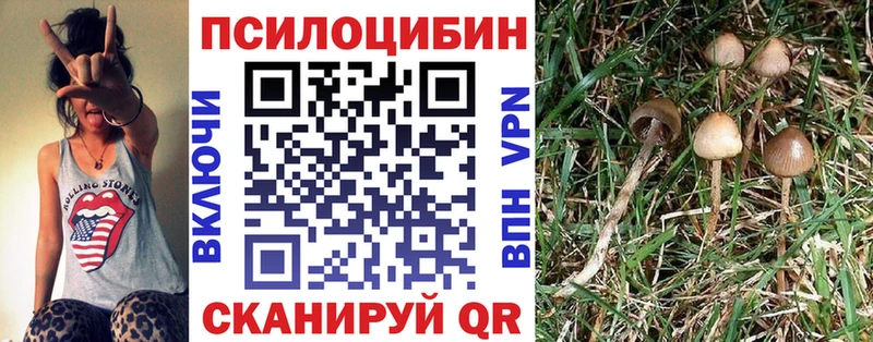 Галлюциногенные грибы мухоморы купить Бородино